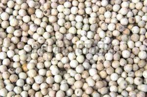 White Pepper