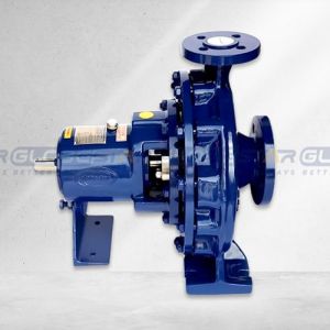 Chemical Process Pump