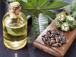 Castor Oil