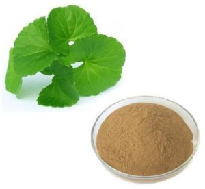 Centella Asiatica Powder