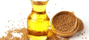 Fenugreek Oil