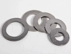 Flexible Graphite Seal