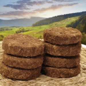 Dry Cow Dung Cake