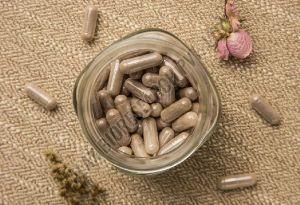 Galactagogue Capsules