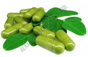 Moringa Capsules