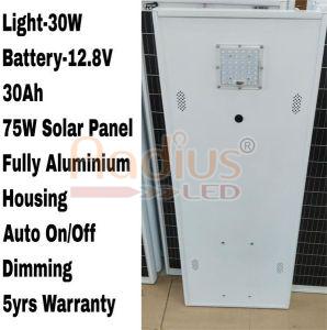30W Automatic Dimming Solar LED Street Light