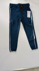 Polyester Men Regular Fit Lower