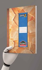Chetak Plus Hard Binding Account Book