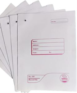 Frooti File