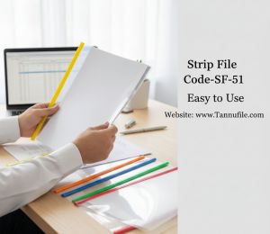 Plain Strip File