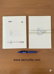 Ripple File
