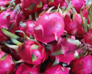 Fresh Dragon Fruit