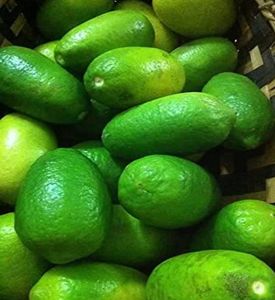 Fresh Kaji Lemon