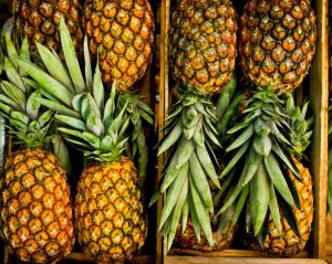 Fresh Pineapple