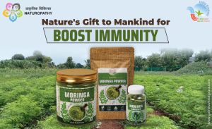 Organic Moringa Powder