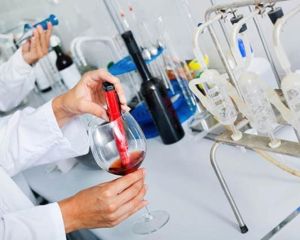 Alcohol Testing Services