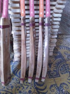 Kashmir Willow Fire Cricket Bats
