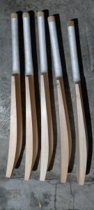Kashmir Willow Wooden Cricket Bats