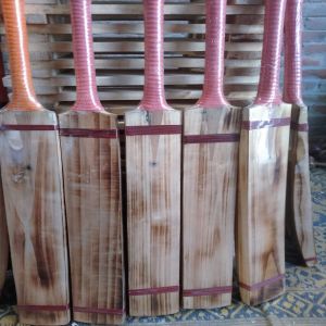 Kashmir Willow Fire Cricket Bats