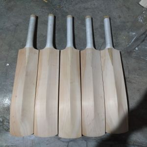 Kashmir Willow Wooden Cricket Bats