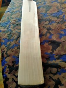 English Willow Cricket Bats