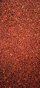 Black Chickpeas