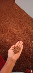 Black Chickpeas