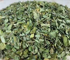 Natural Dry Moringa Leaves