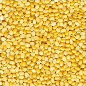 Yellow Moong Dal