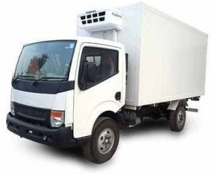 Cold Chain Logistics Service