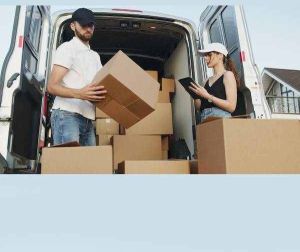 Domestic Courier Service