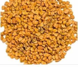 A Grade Fenugreek Seed