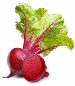 A Grade Fresh Beetroot