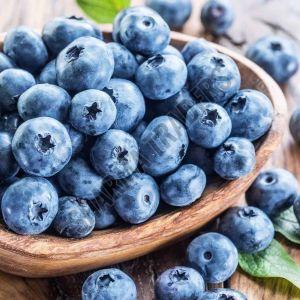 A Grade Fresh Blueberry
