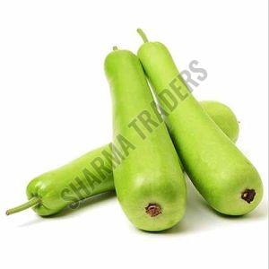 A Grade Fresh Bottle Gourd Lauki