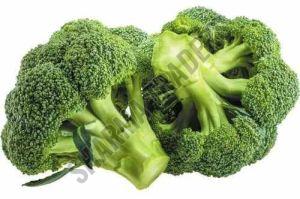 A Grade Fresh Broccoli