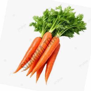 A Grade Fresh Carrot