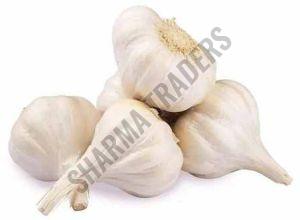 A Grade Fresh Garlic