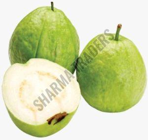 A Grade Fresh Guava