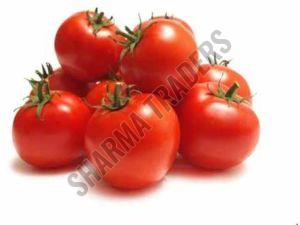 A Grade Fresh Hybrid Tomato