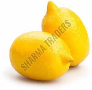 A Grade Fresh Lemon