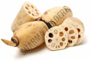 A Grade Fresh Lotus Root