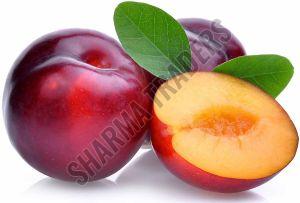 A Grade Fresh Plum