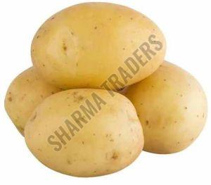 A Grade Fresh Potato