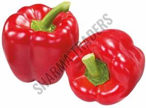 A Grade Fresh Red Capsicum