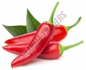 A Grade Fresh Red Chilli