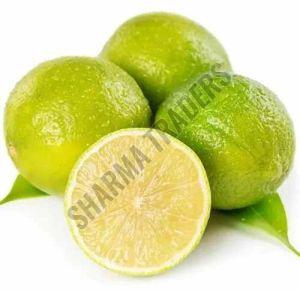 A Grade Fresh Sweet Lime