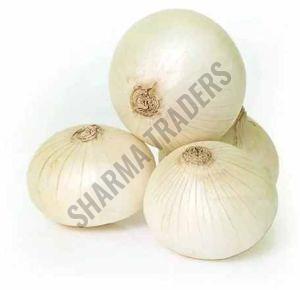 A Grade Fresh White Onion