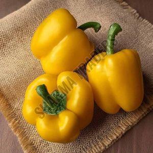 A Grade Fresh Yellow Capsicum