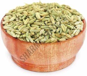 A Grade Green Fennel Seed